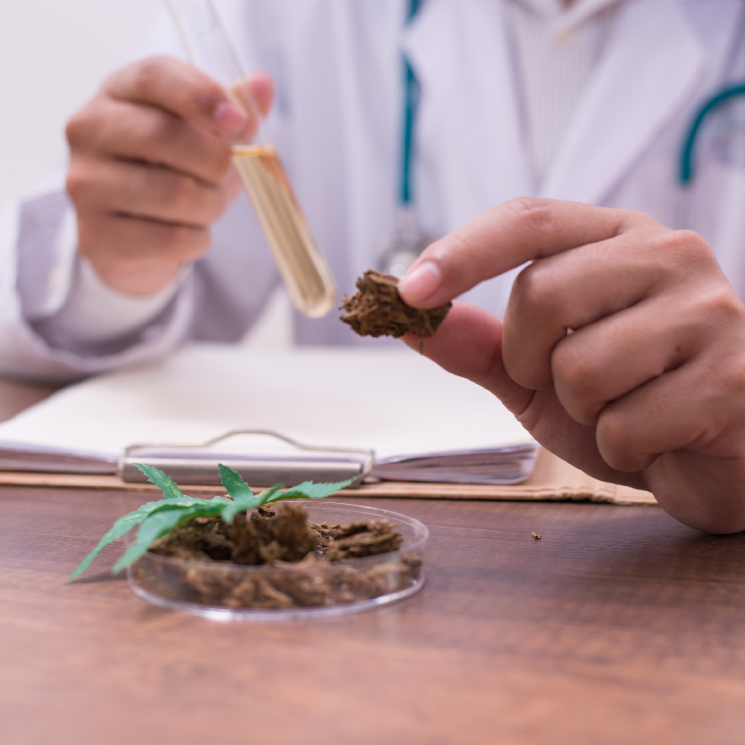 Hemp oil, Hemp seeds, Cannabinoids