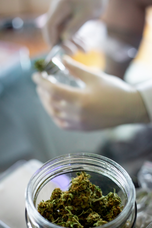 cannabis reserach lab in canada near me