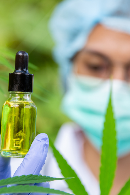 cannabis reserach lab in canada